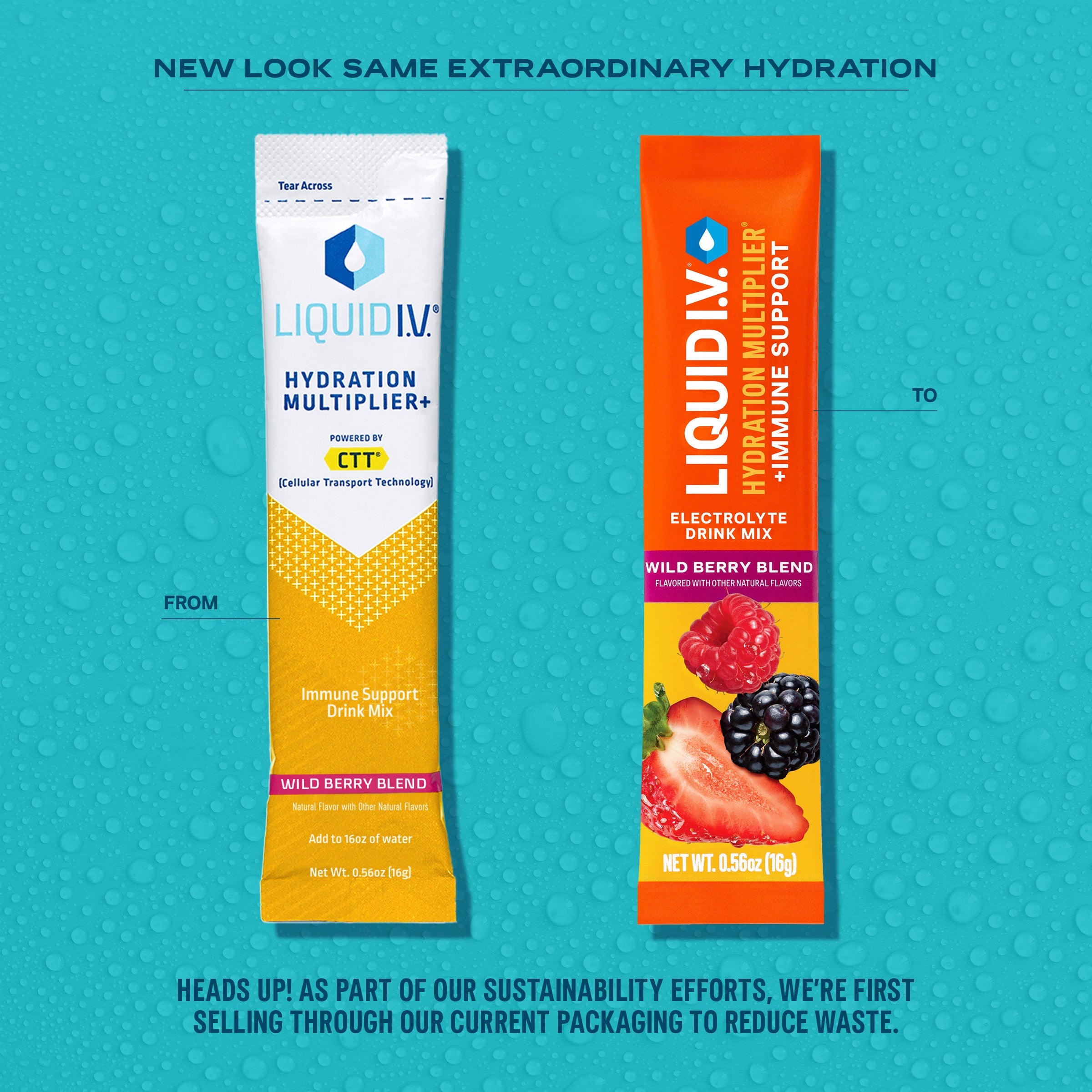 Wild Berry Immune Support - Everyday Hydration With Clean Taste